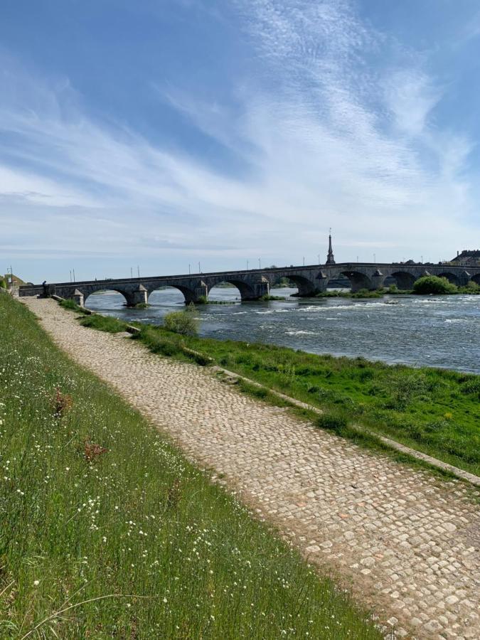 T2 - Au Calme Royaloire - Chateau A Vue - Luxe, Renove Blois Bagian luar foto